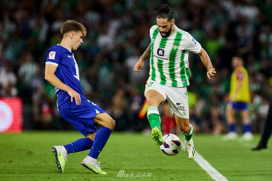 在第六个栏 在第六个栏