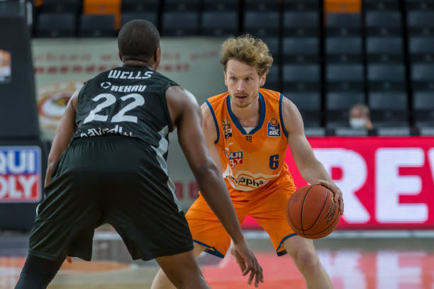 盗食行为 盗食行为