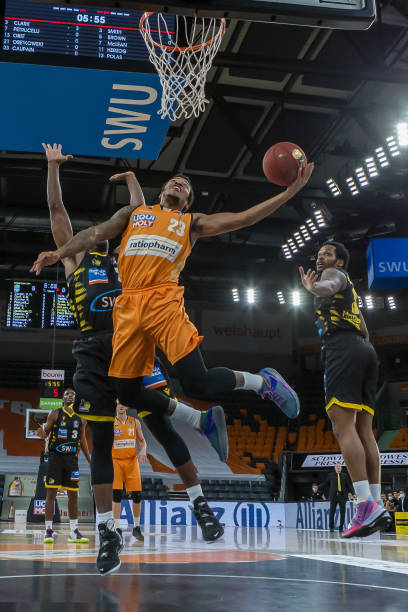 本赛季球队 本赛季球队